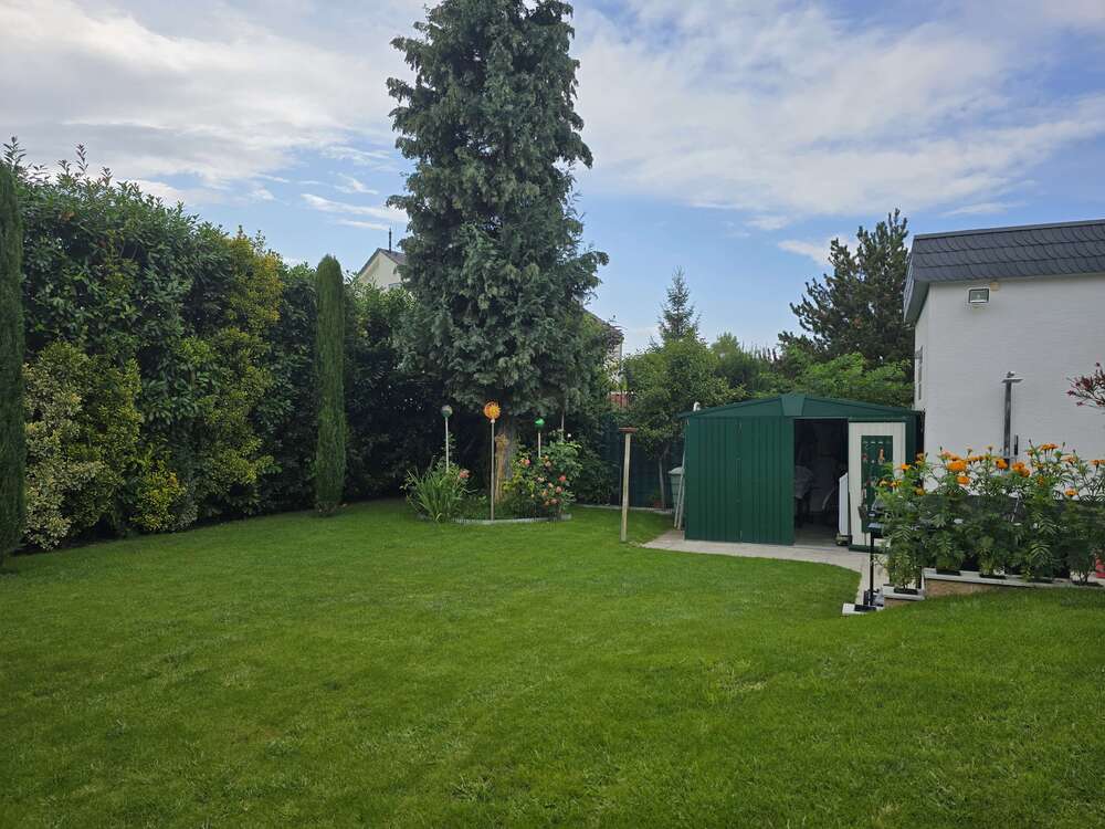 Thumbnail-Haus zum Kaufen in Dannstadt SCHAUERNHEIM 639.000,00 € 126 m²