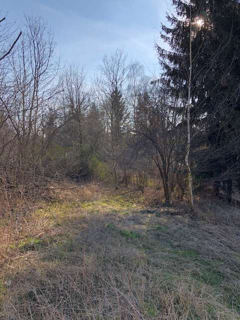 Thumbnail-Grundstück zu verkaufen in Gößnitz 25.000,00 € 798 m²