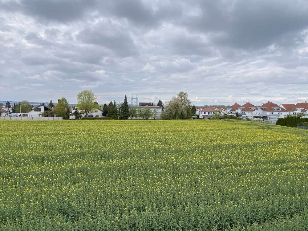 Thumbnail-Wohnung zum Mieten in Illerkirchberg Unterkirchberg 760,00 € 72 m²