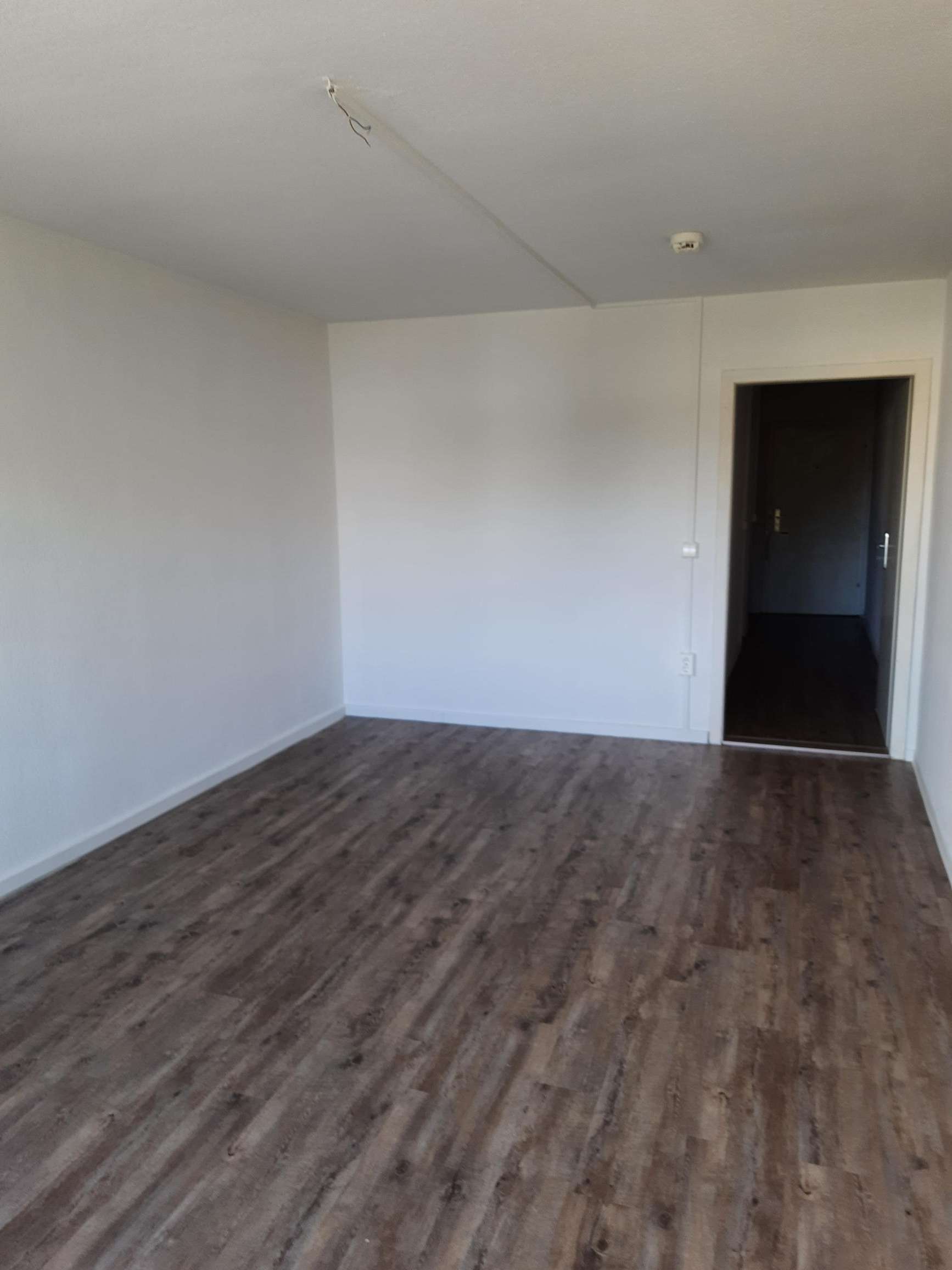 Thumbnail-Wohnung zum Mieten in Dresden 310,00 € 37 m²