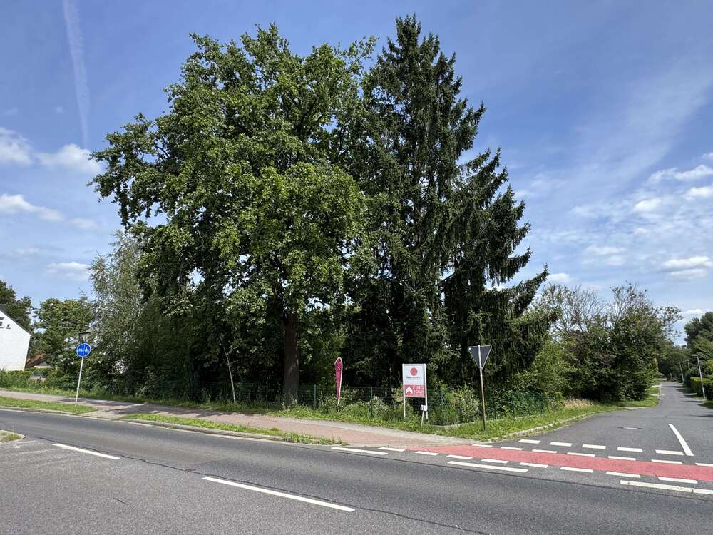 Thumbnail-Grundstück zu verkaufen in Döbern 35.000,00 € 1877 m²