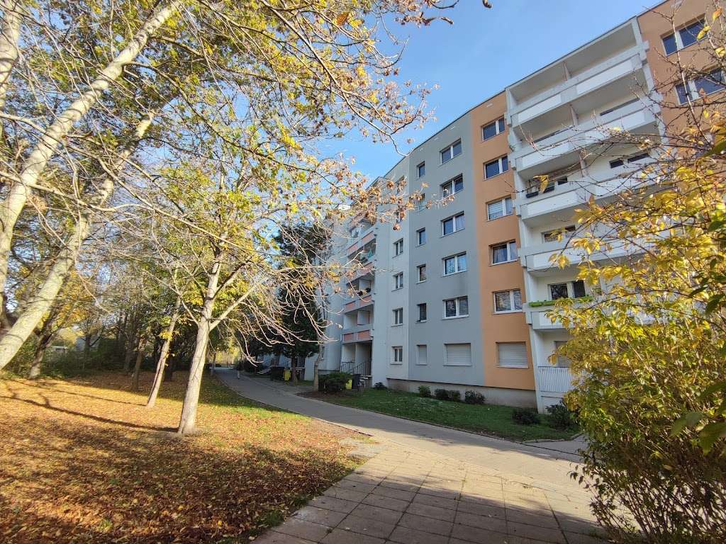Thumbnail-Wohnung zum Mieten in Halle (Saale) 342,00 € 56.98 m²