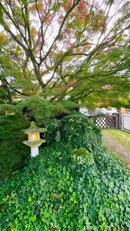 Thumbnail-Haus zum Kaufen in Ludwigshafen 398.000,00 € 130 m²