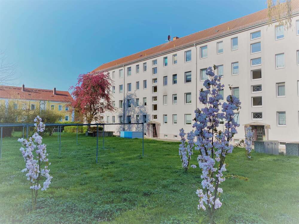 Thumbnail-Wohnung zum Mieten in Wurzen 355,00 € 50.85 m²