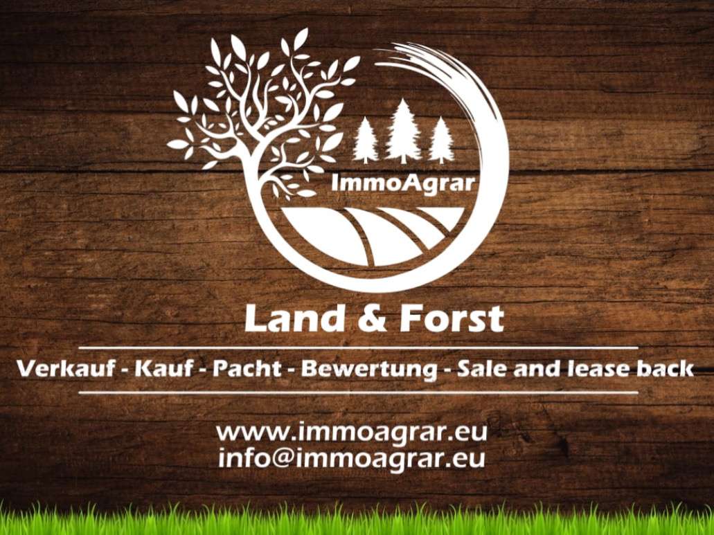 Thumbnail-Grundstück in Amendingen 110.000,00 € 25789 m²