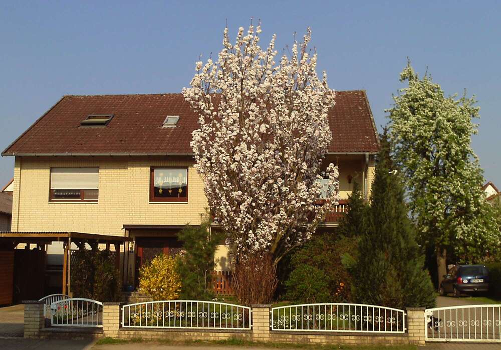 Thumbnail-Haus zum Kaufen in Kalefeld 185.000,00 € 319 m²