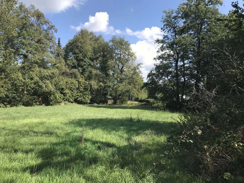 Thumbnail-Haus zum Kaufen in Mülheim 1.998.000,00 € 248 m²