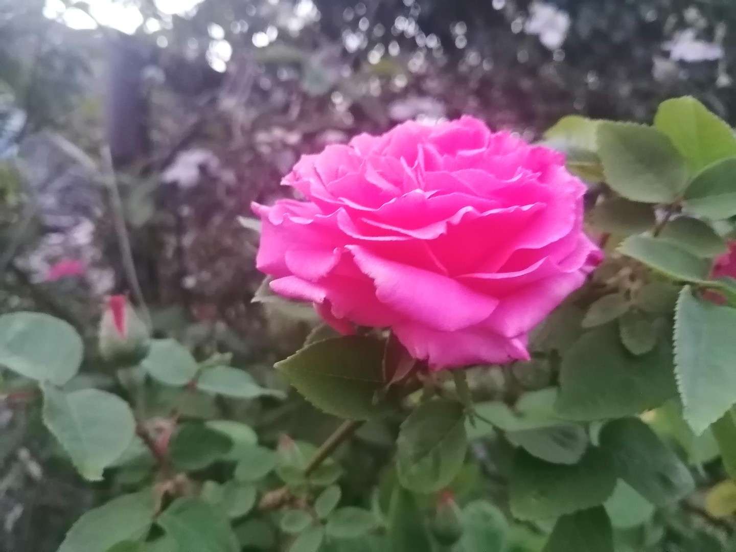 Thumbnail-Haus zum Kaufen in Knittelsheim 625.000,00 € 150 m²