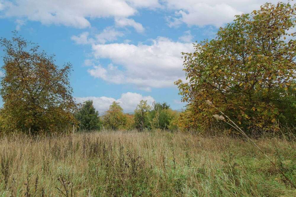 Thumbnail-Grundstück zu verkaufen in Forchheim 300.000,00 € 506.3 m²