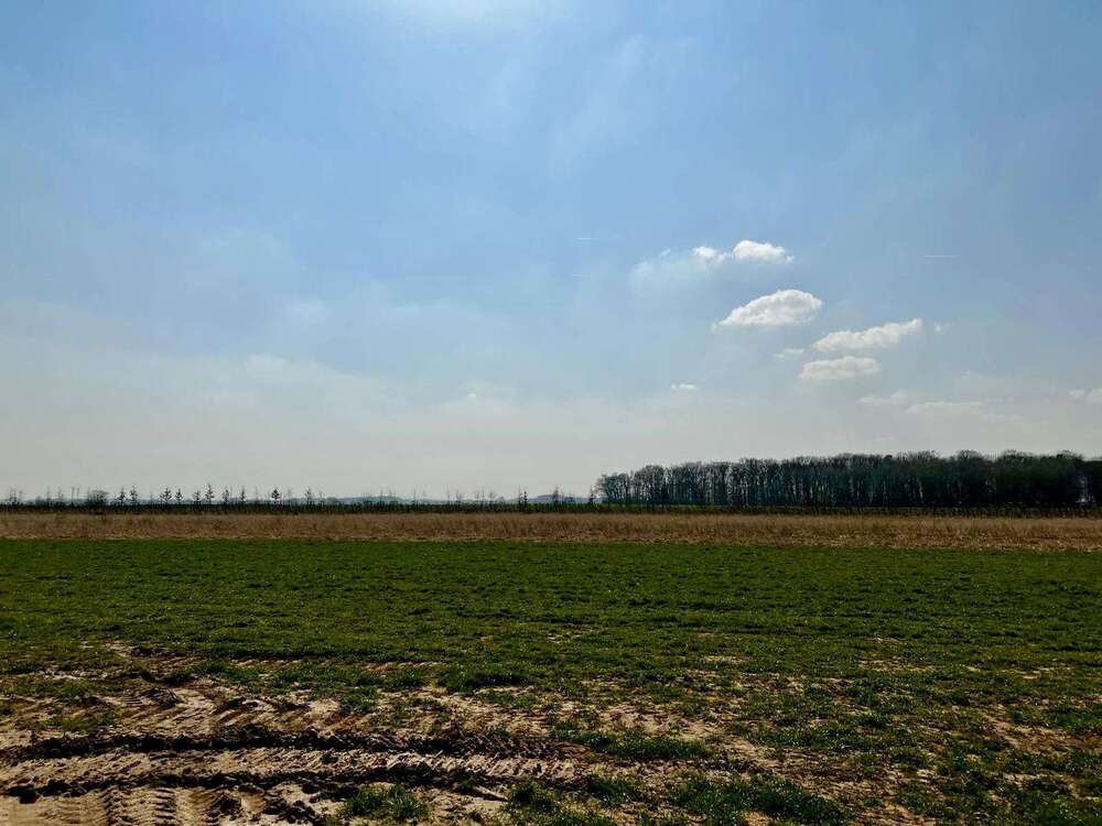 Thumbnail-Grundstück zu verkaufen in Nörvenich 289.900,00 € 704 m²