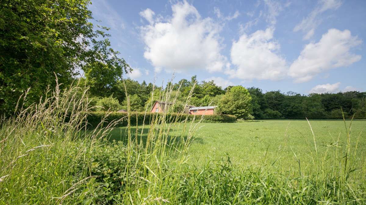 Thumbnail-Haus zum Kaufen in Gelting 560.000,00 € 223 m²