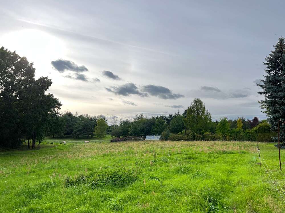 Thumbnail-Grundstück zu verkaufen in Müncheberg 149.000,00 € 2784 m²