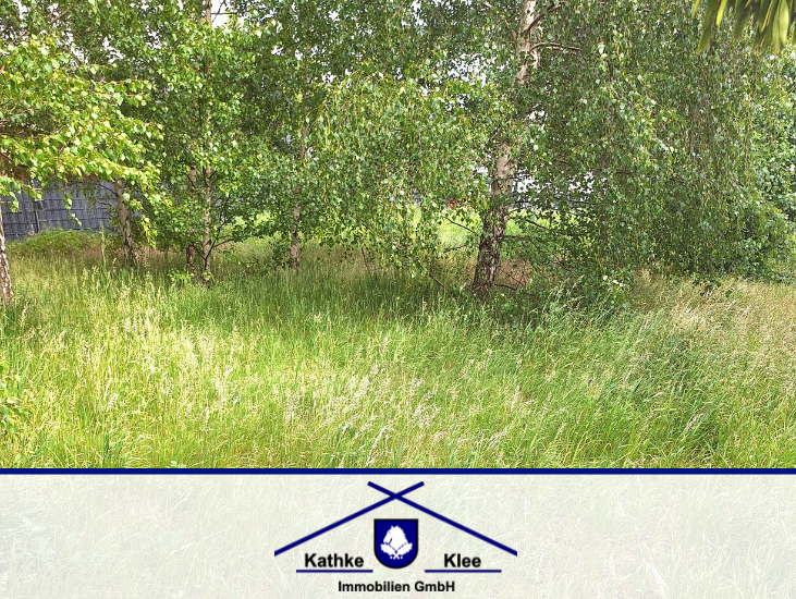 Thumbnail-Grundstück zu verkaufen in Bremen 195.000,00 € 438 m²