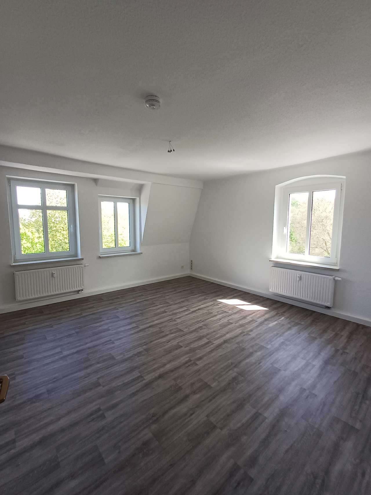 Thumbnail-Wohnung zum Mieten in Frankenberg Sa. 345,00 € 61.59 m²
