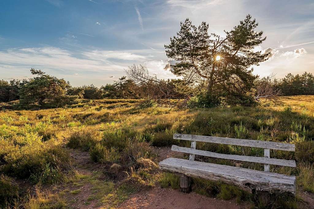 Thumbnail-Wohnung zum Kaufen in Radeberg 478.540,00 € 134.8 m²