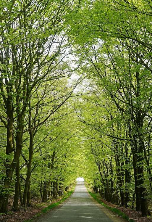 Thumbnail-Wohnung zum Kaufen in Ullersdorf 352.870,00 € 99.4 m²