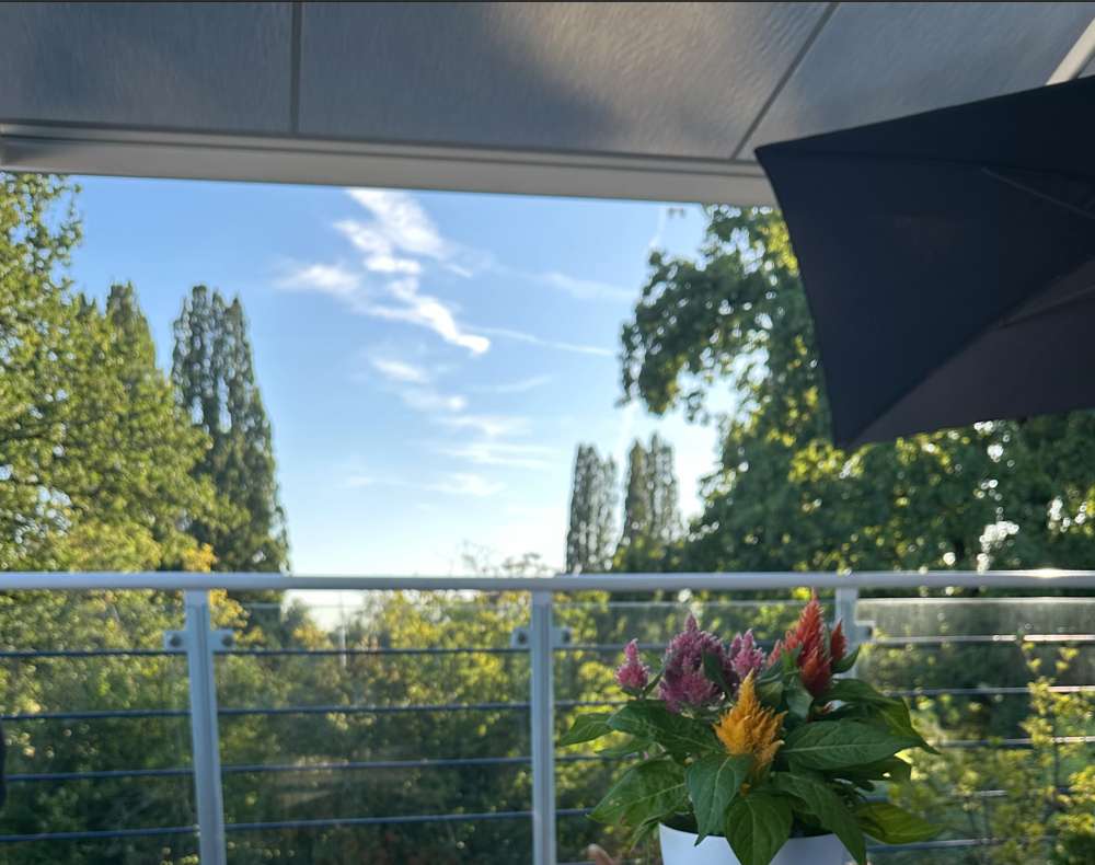 Thumbnail-Wohnung zum Kaufen in Frankfurt am Main 489.000,00 € 85 m²