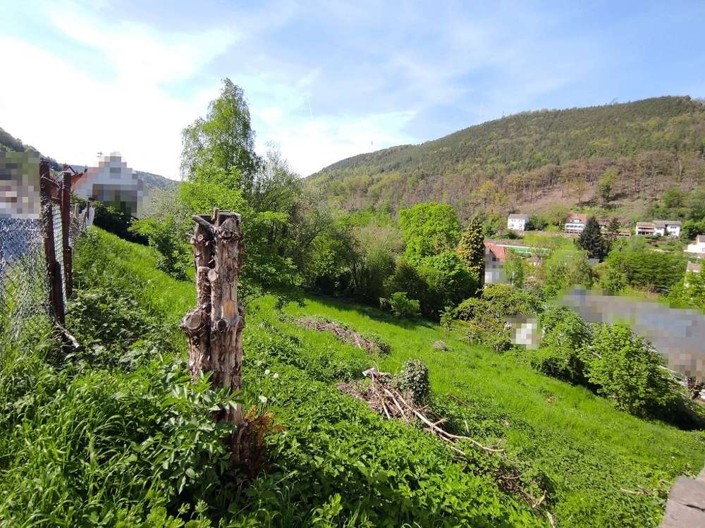 Thumbnail-Grundstück zu verkaufen in Lambrecht (Pfalz) 42.000,00 € 917 m²