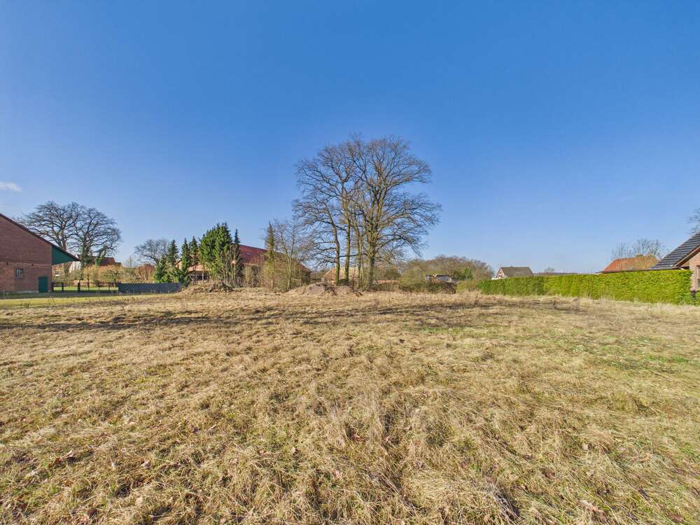 Thumbnail-Grundstück zu verkaufen in Oetzen 129.000,00 € 2155 m²