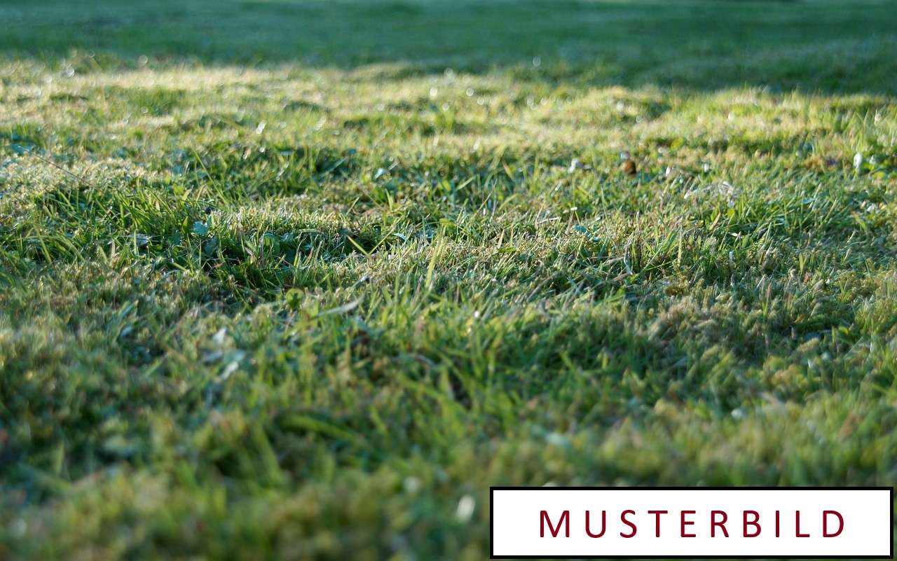 Thumbnail-Grundstück zu verkaufen in Neustadt an der Orla 97.000,00 € 2342 m²