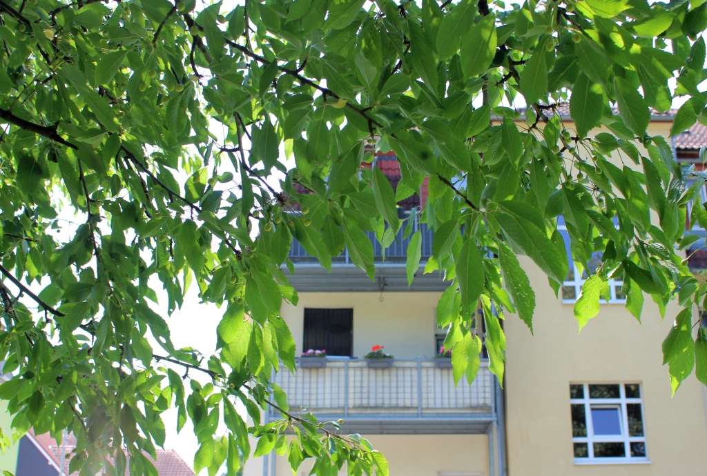 Thumbnail-Wohnung zum Kaufen in Freital 128.000,00 € 63 m²