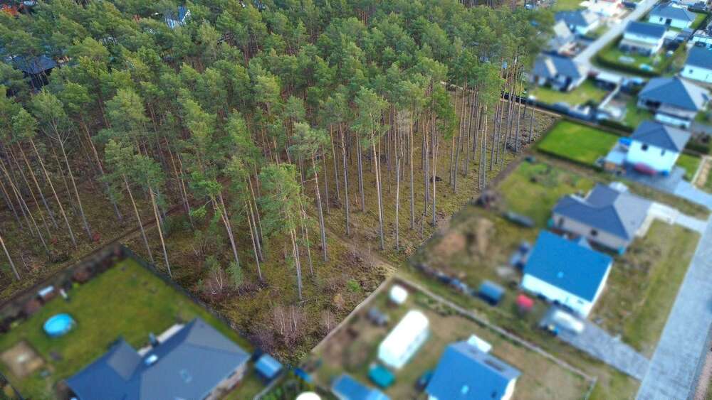 Thumbnail-Grundstück zu verkaufen in Borkwalde 259.000,00 € 1163 m²