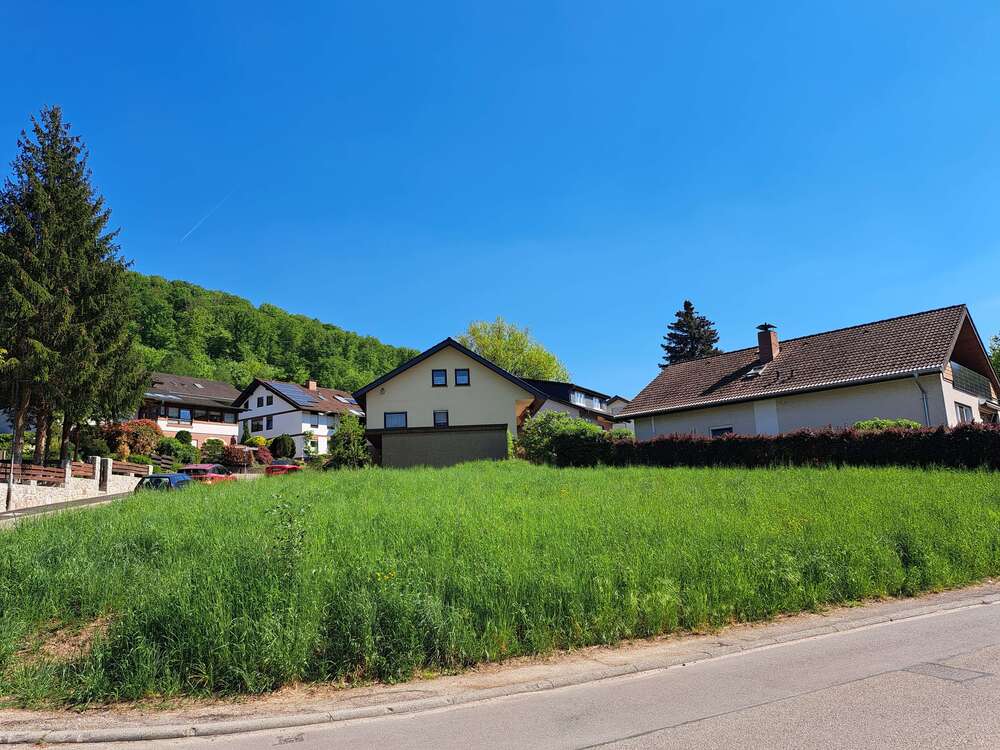 Thumbnail-Grundstück zu verkaufen in Neckargemünd 259.000,00 € 553 m²