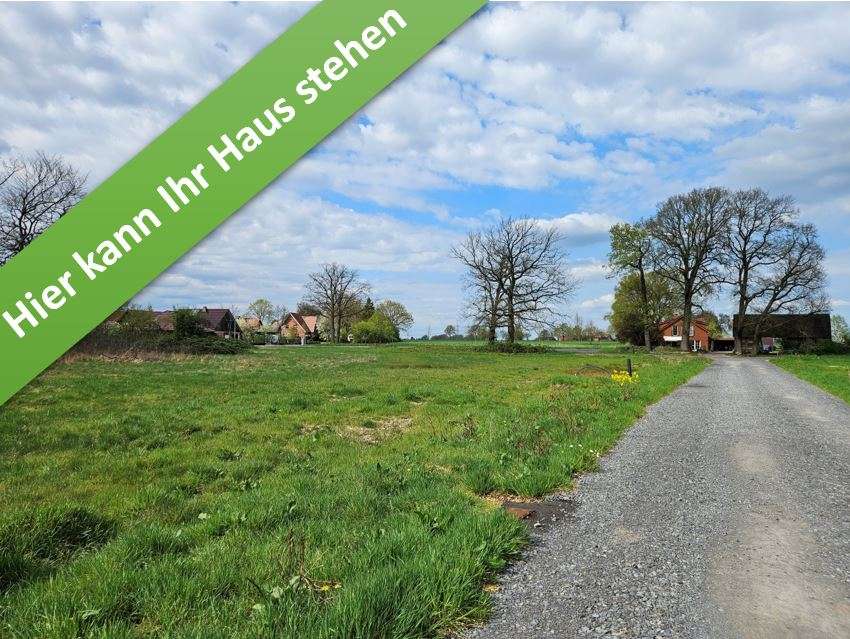 Thumbnail-Haus zum Kaufen in Wietzen 335.700,00 € 130 m²