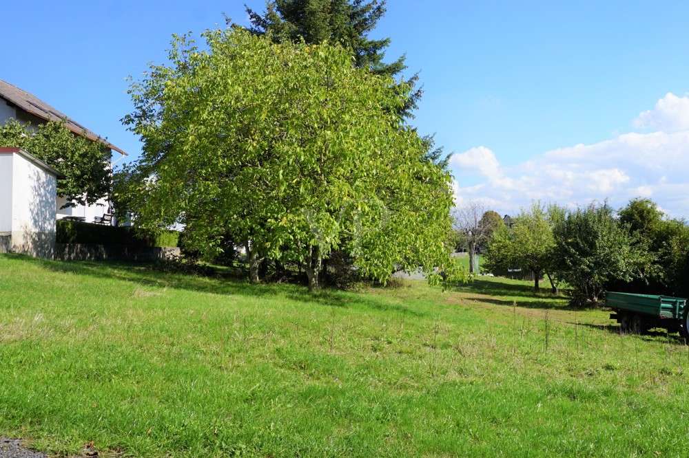 Thumbnail-Grundstück zu verkaufen in Flieden 129.000,00 € 1634 m²