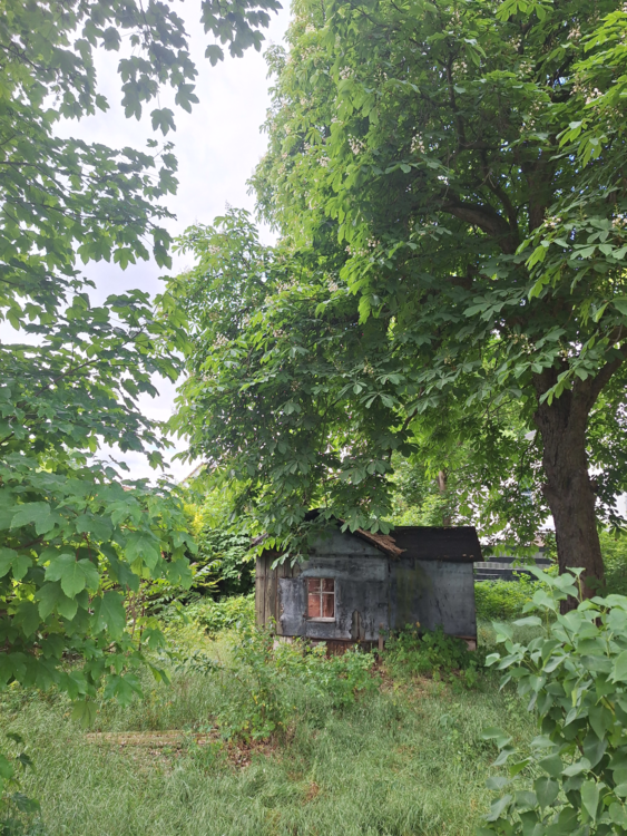 Thumbnail-Grundstück zu verkaufen in Berlin-Köpenik 860.000,00 € 1334 m²