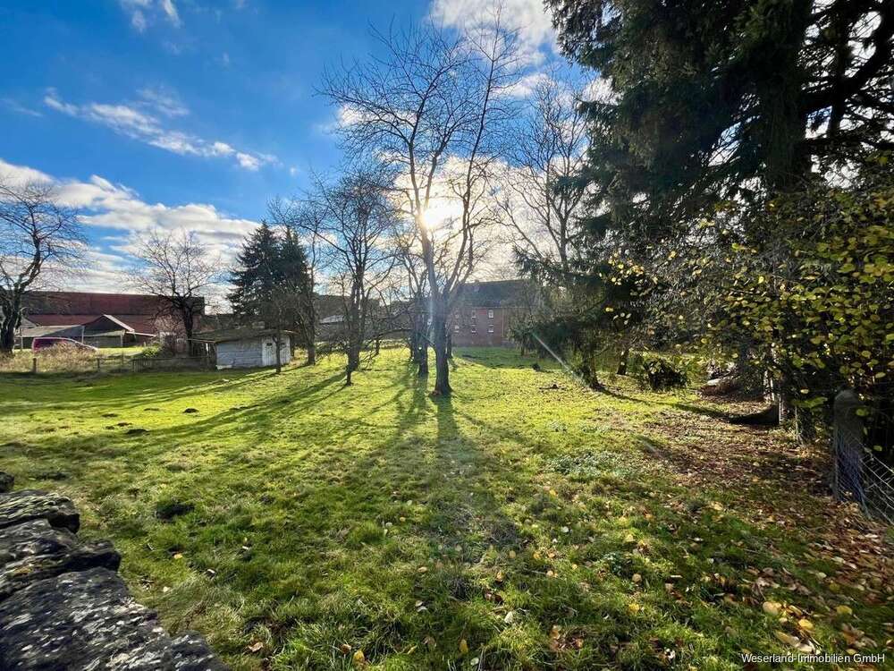 Thumbnail-Grundstück zu verkaufen in Coppenbrügge Harderode 90.000,00 € 2039 m²