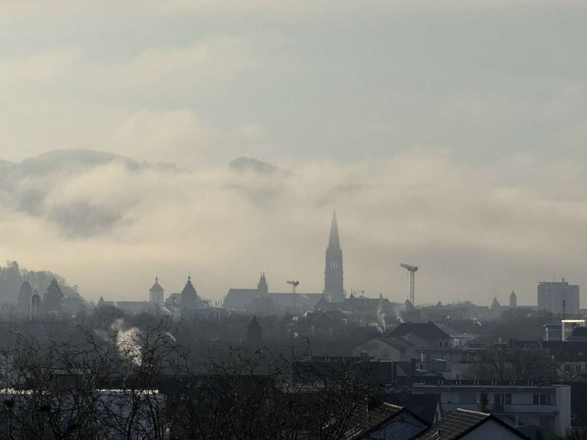 Thumbnail-Wohnung zum Kaufen in Freiburg 380.000,00 € 80 m²