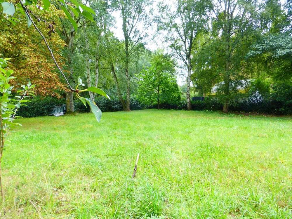 Thumbnail-Grundstück zu verkaufen in Wedemark 785.000,00 € 5535 m²