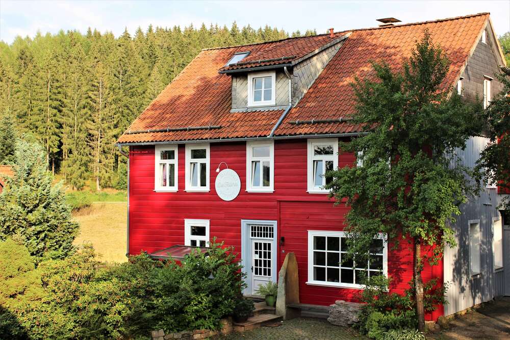 Thumbnail-Haus zum Kaufen in Clausthal-Zellerfeld OT Buntenbock 850.000,00 € 980 m²