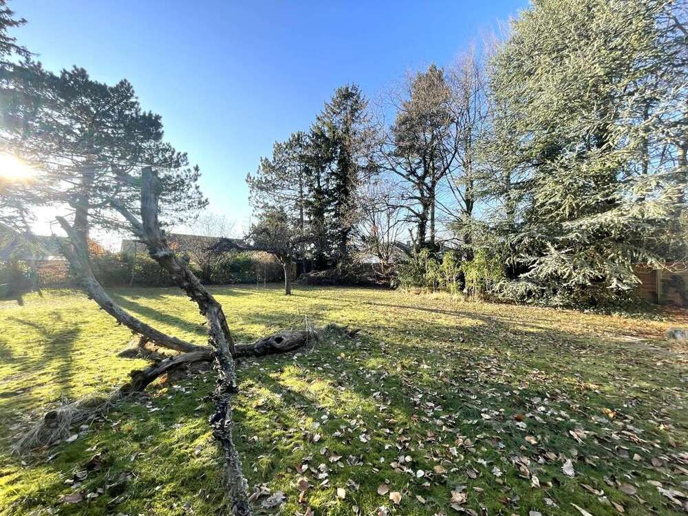 Thumbnail-Grundstück zu verkaufen in Hamburg 519.000,00 € 985 m²