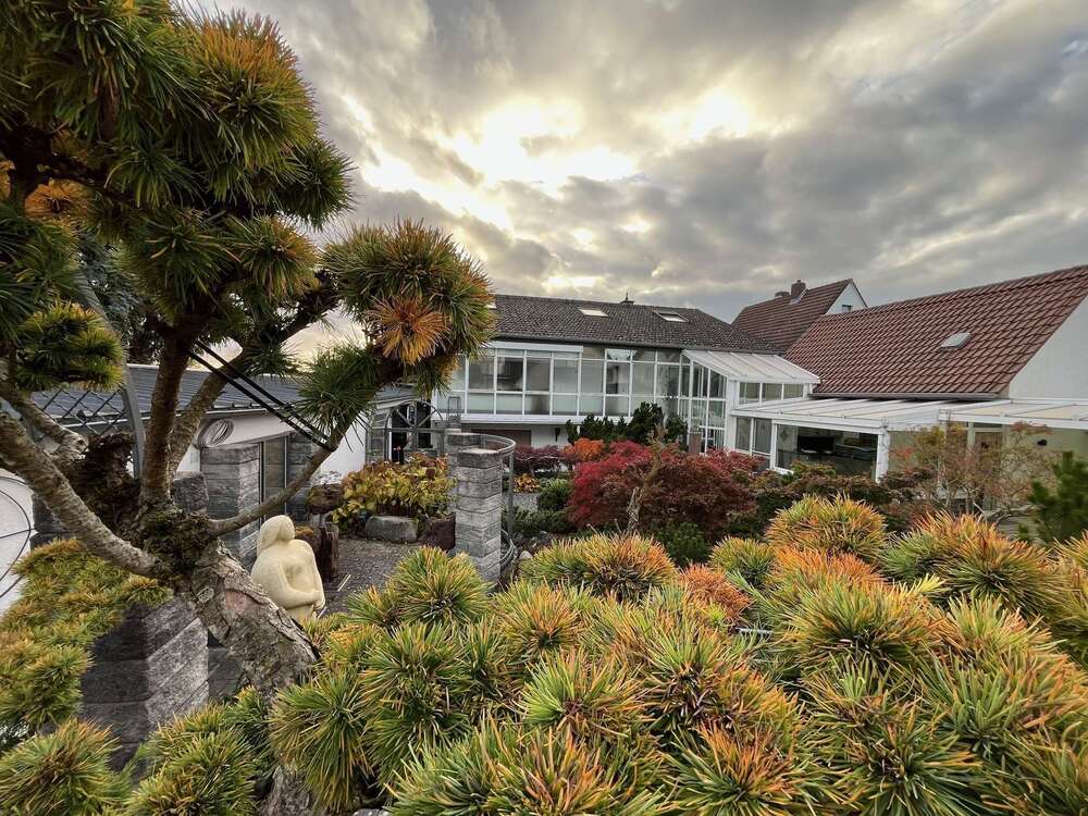 Thumbnail-Haus zum Kaufen in Pfungstadt 719.000,00 € 280 m²