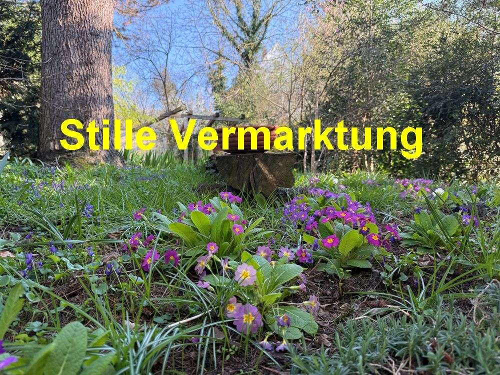 Thumbnail-Haus zum Kaufen in Schorndorf 730.000,00 € 210 m²