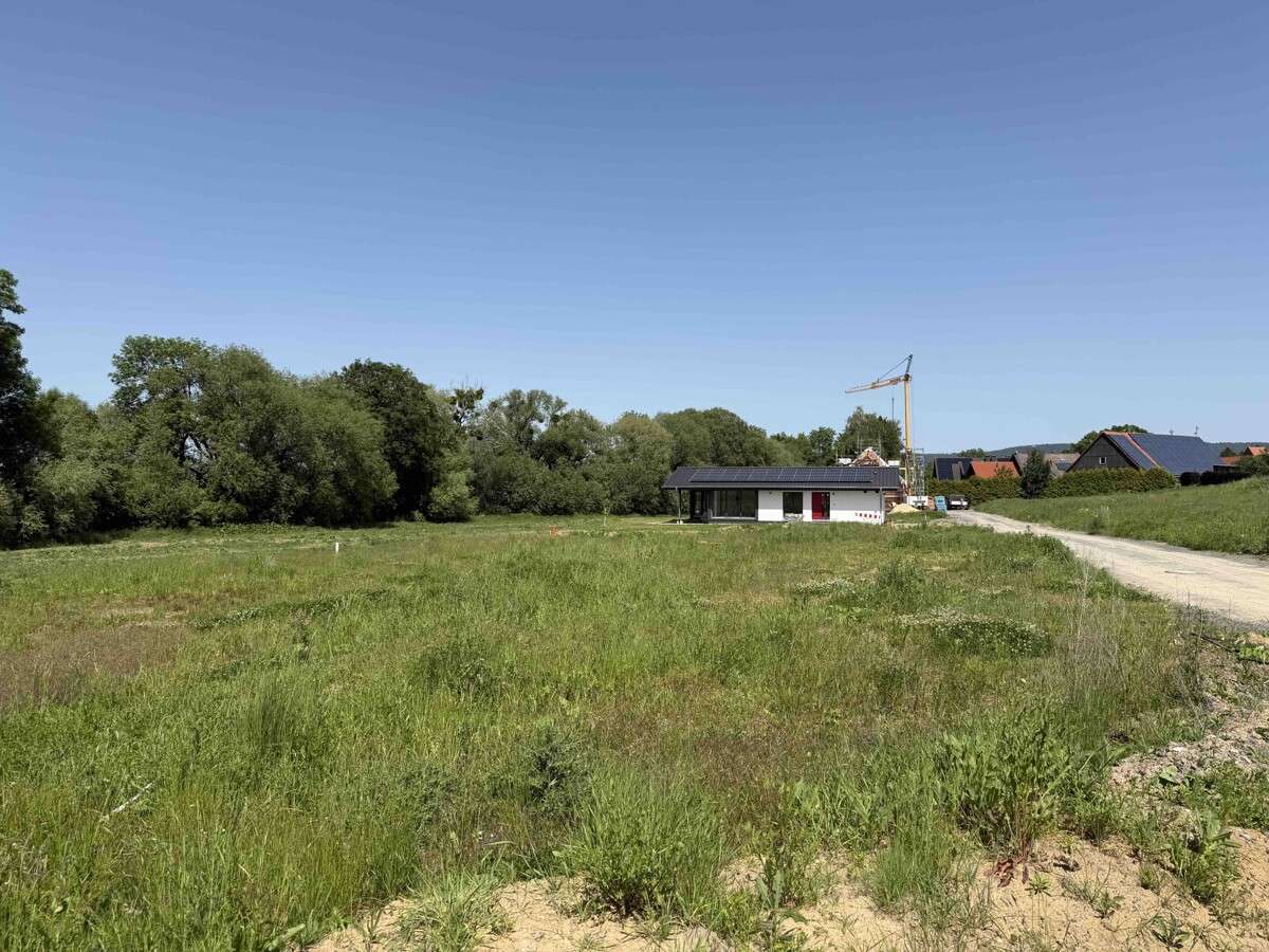 Thumbnail-Grundstück zu verkaufen in Hülsede Meinsen 318.800,00 € 1594 m²