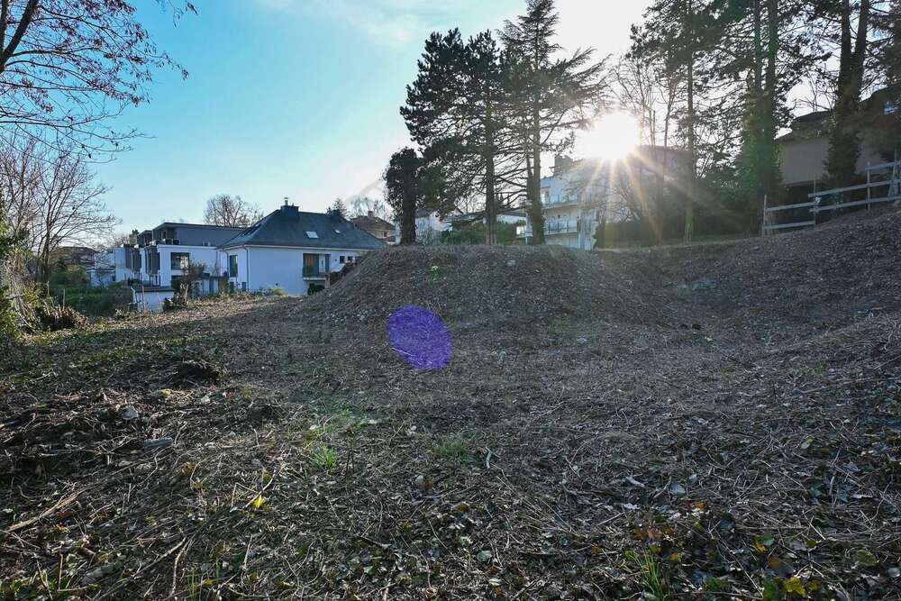 Thumbnail-Grundstück zu verkaufen in Wiesbaden 2.900.000,00 € 1875 m²