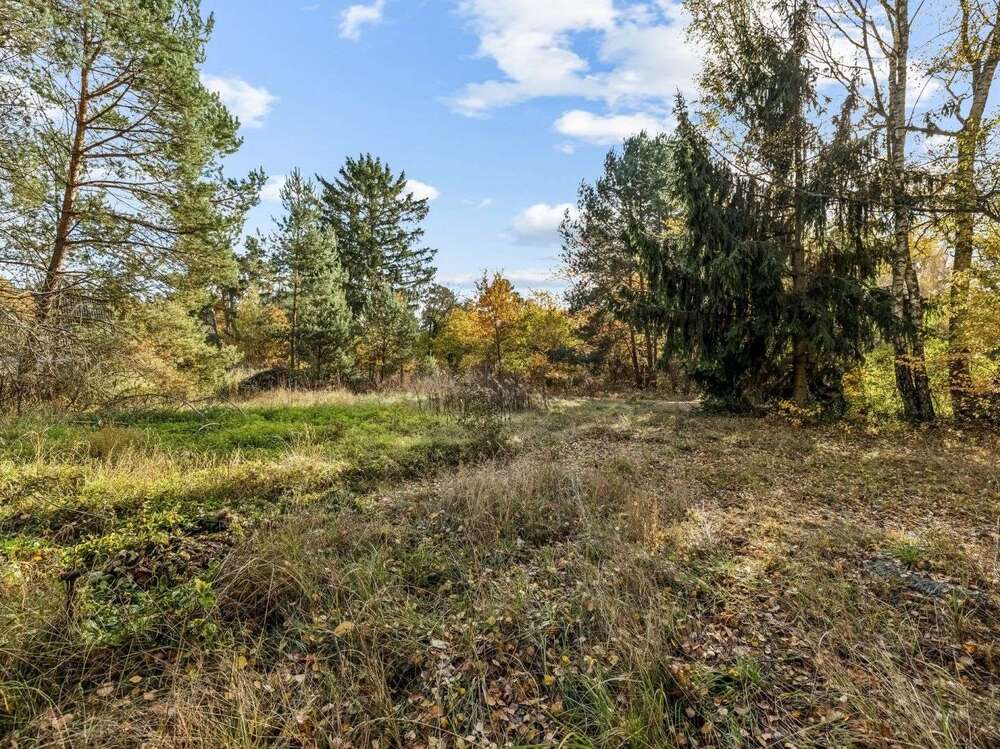 Thumbnail-Grundstück zu verkaufen in Fürstenwalde 350.000,00 € 1780 m²