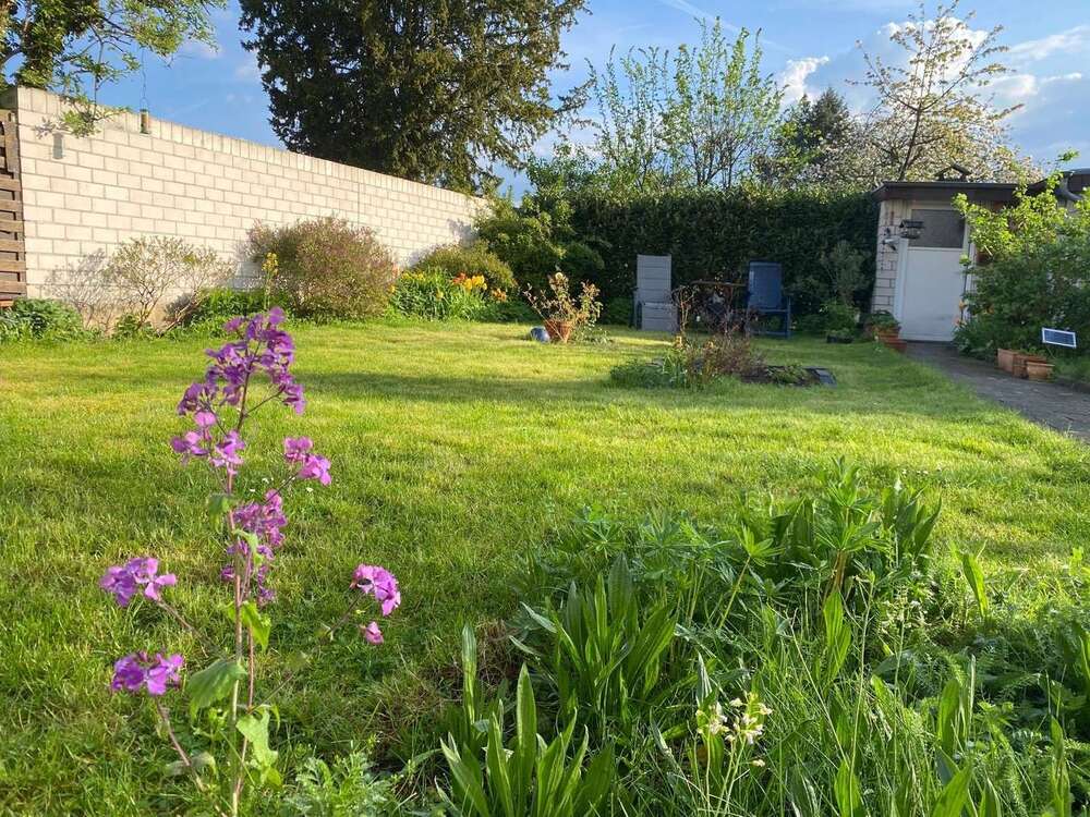 Thumbnail-Wohnung zum Mieten in Köln-Merheim 990,00 € 80 m²