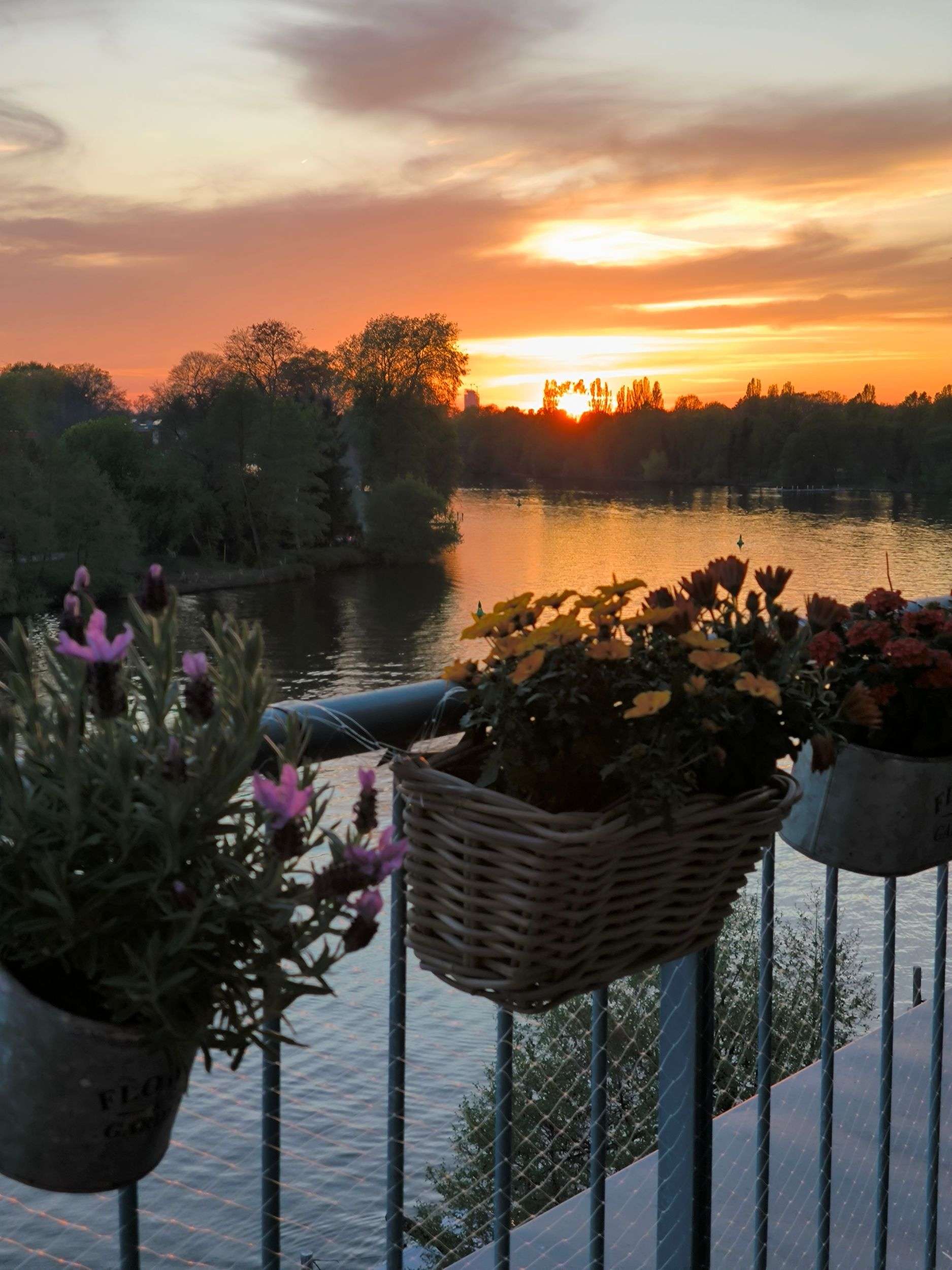 Thumbnail-Wohnung zum Mieten in Berlin 859,00 € 45.21 m²