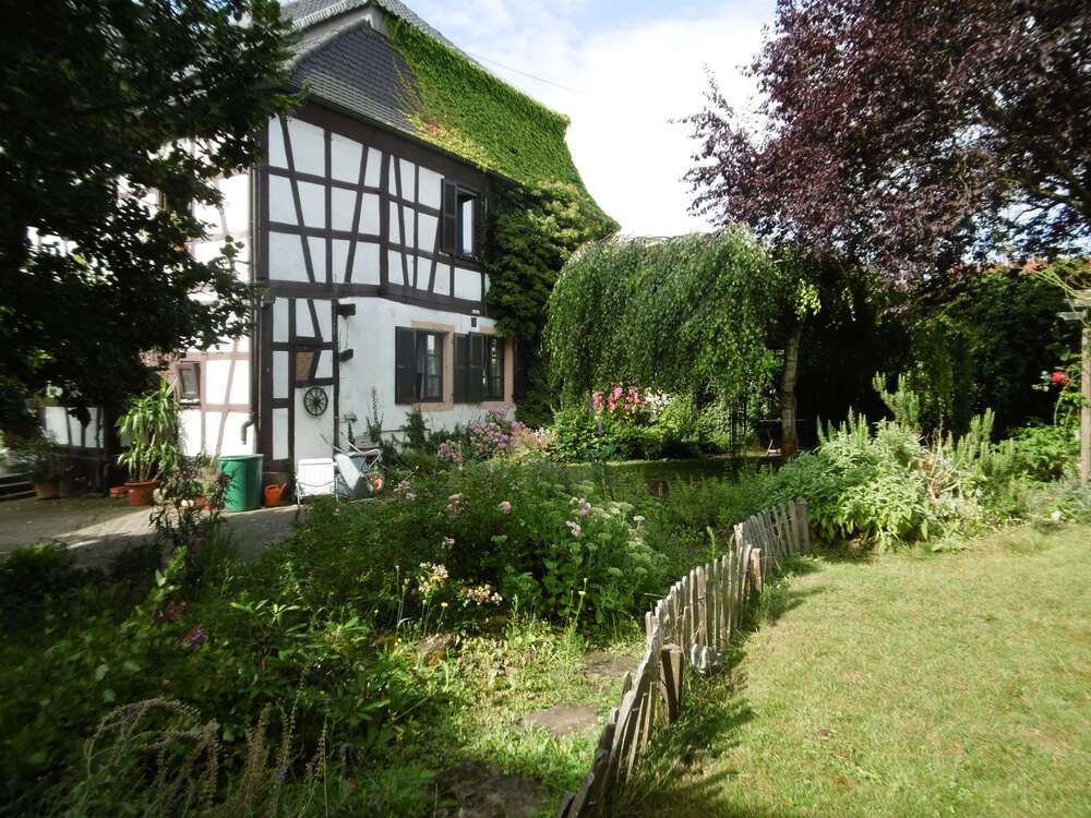 Thumbnail-Haus zum Kaufen in Minfeld 495.000,00 € 300 m²