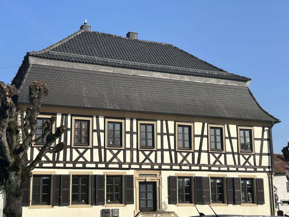 Thumbnail-Haus zum Kaufen in Minfeld 495.000,00 € 300 m²