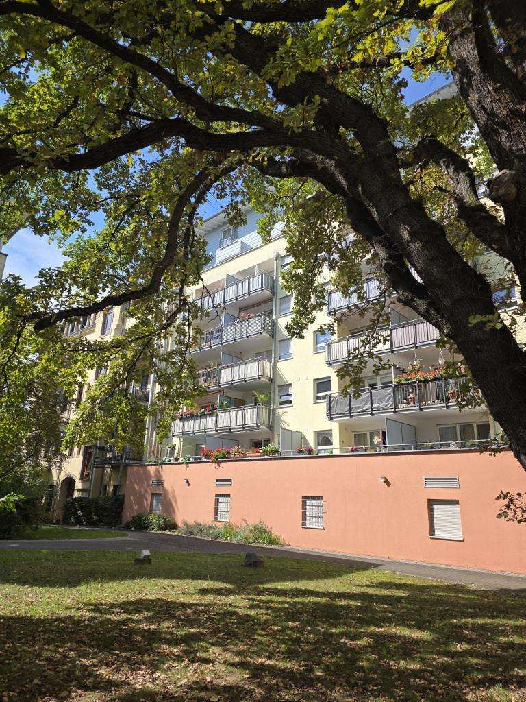Thumbnail-Einzelhandel in Dresden 2.355,00 € 262.66 m²