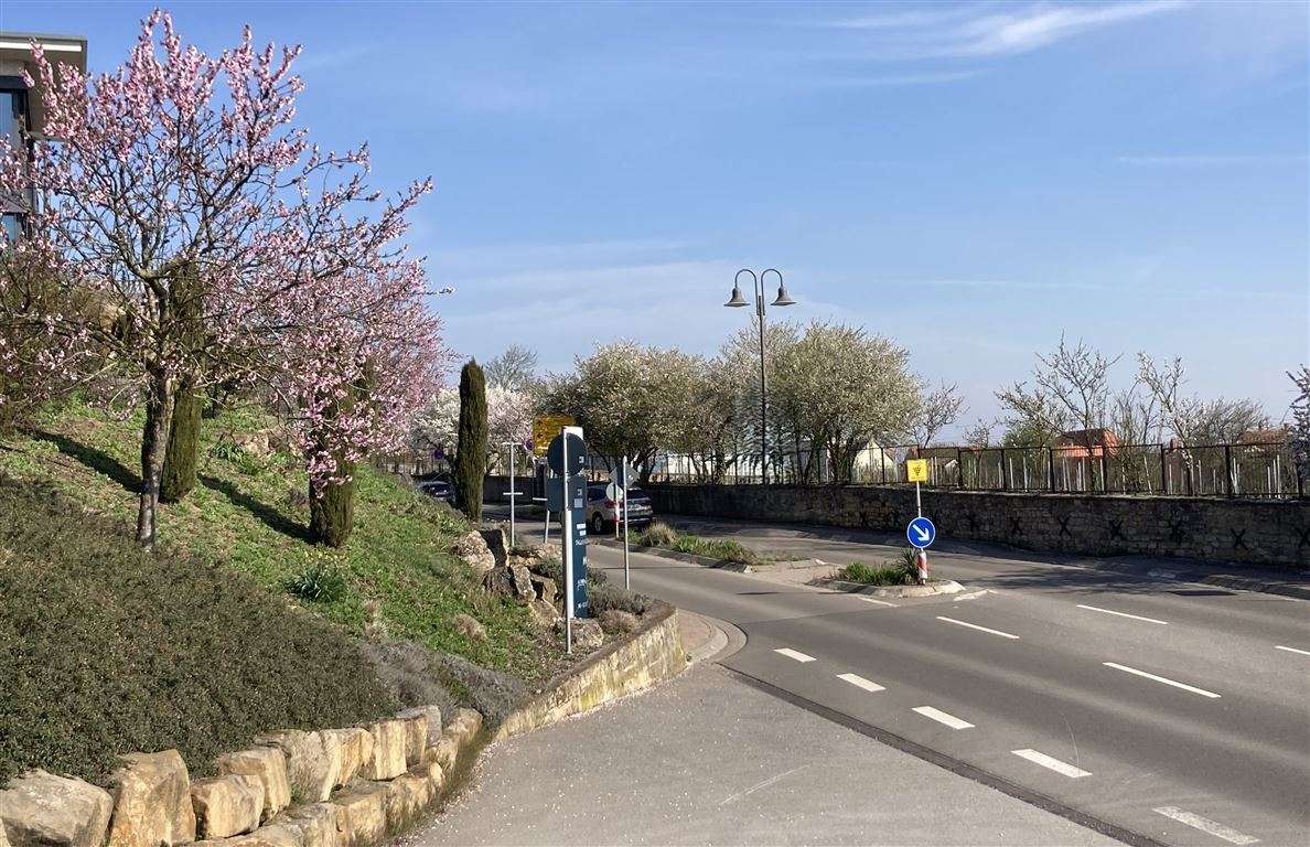 Thumbnail-Haus zum Kaufen in Herxheim am Berg 380.000,00 € 244 m²