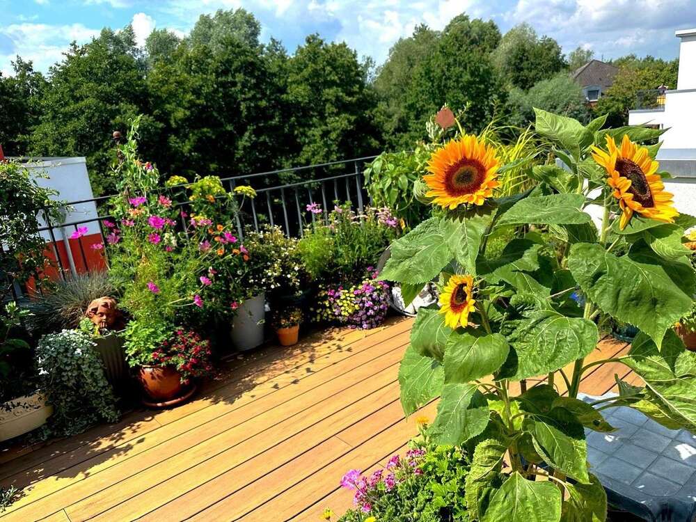 Thumbnail-Wohnung zum Kaufen in Schwerin 535.000,00 € 129 m²