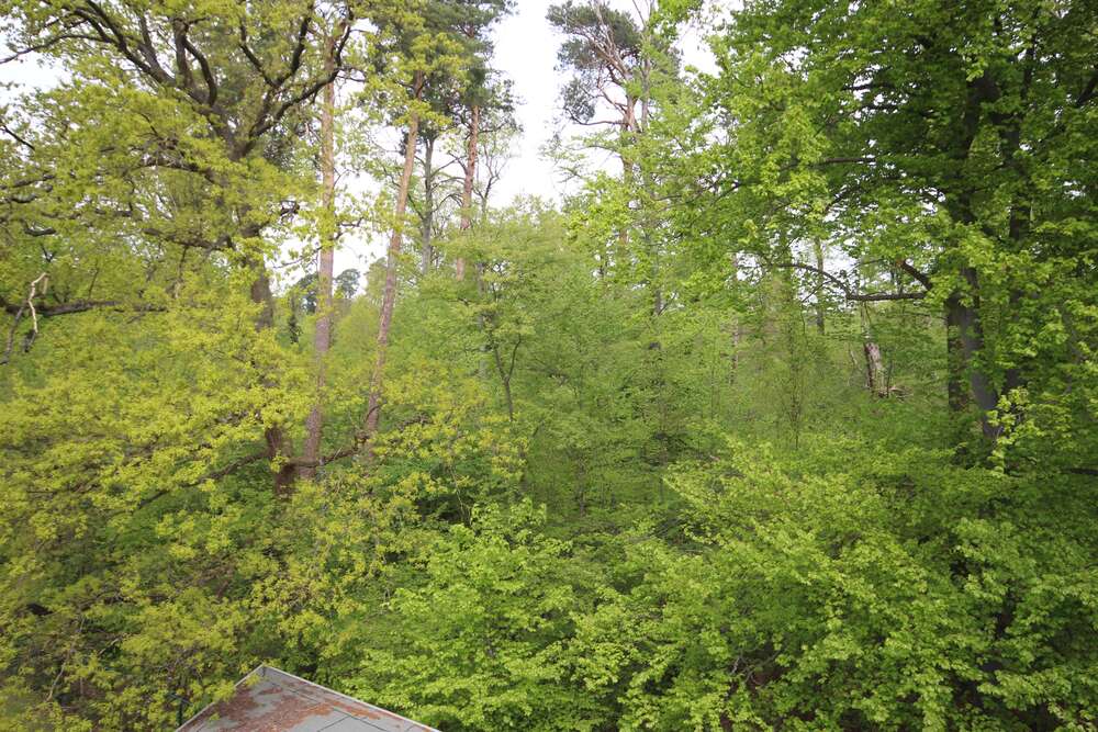 Thumbnail-Wohnung zum Mieten in Heusenstamm 785,00 € 66 m²