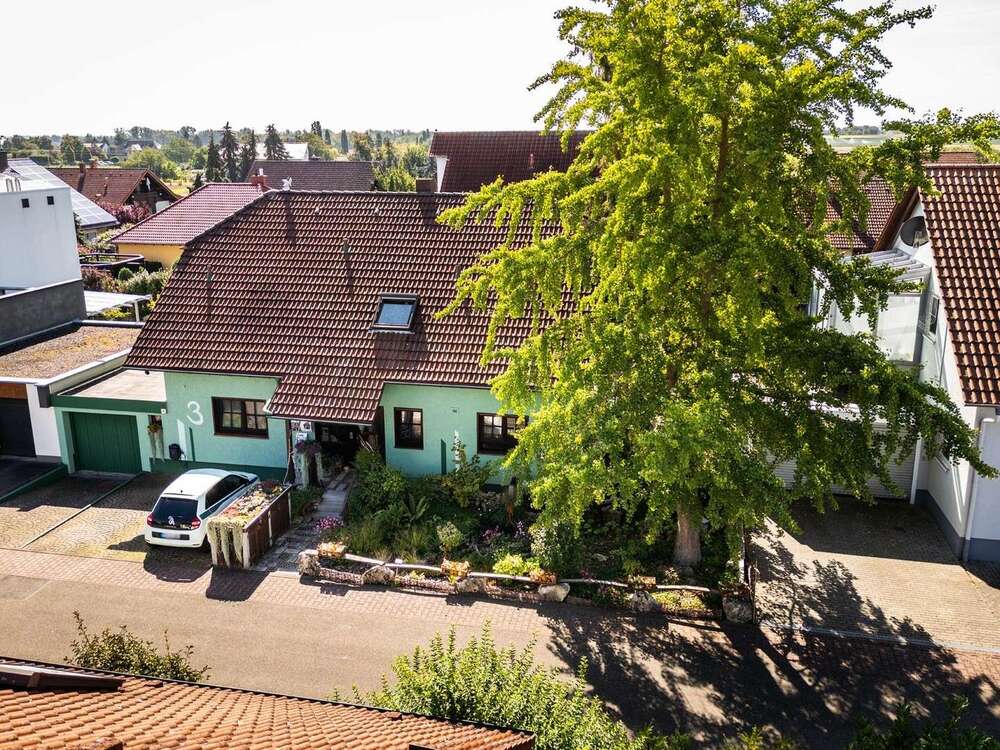 Thumbnail-Haus zum Kaufen in Fußgönheim 649.950,00 € 226 m²