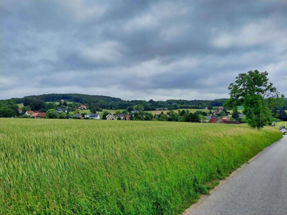 Thumbnail-Grundstück in Vlotho 56.000,00 € 14000 m²